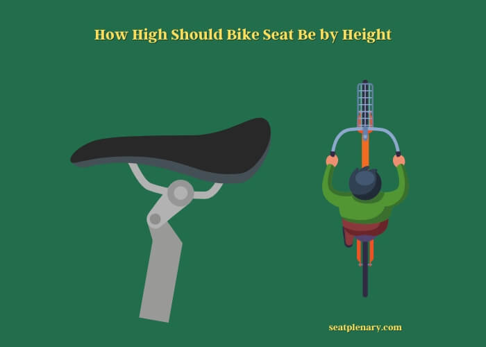 how high should bike seat be by height