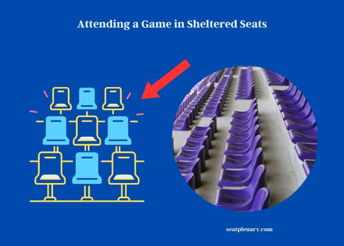 attending a game in sheltered seats