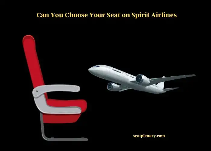 can you choose your seat on spirit airlines