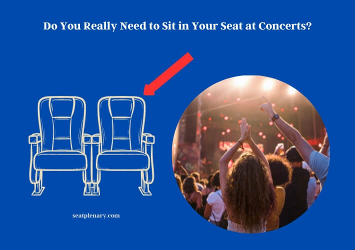 do you really need to sit in your seat at concerts