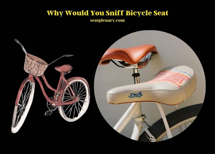 why would you sniff bicycle seat