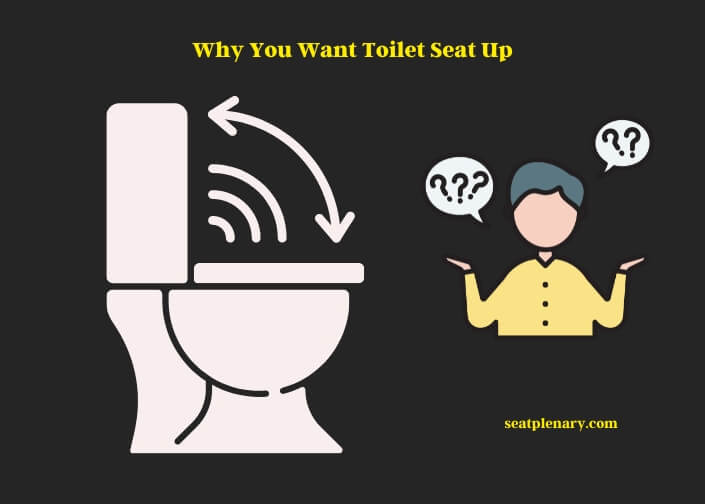 why you want toilet seat up