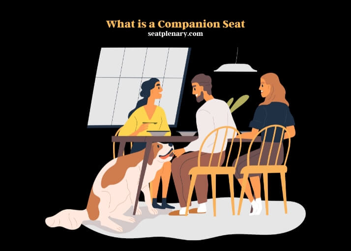 what is a companion seat (1)