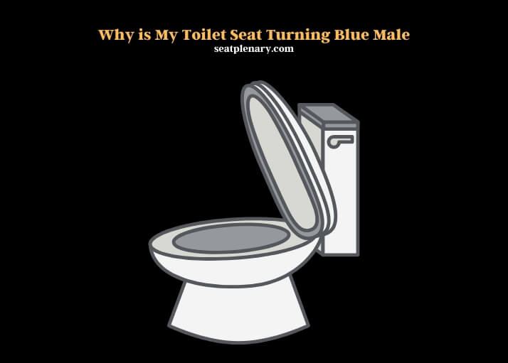 why is my toilet seat turning blue male