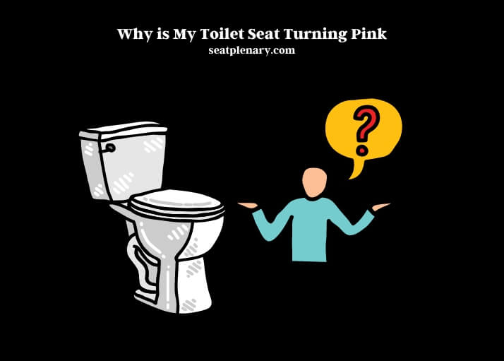 Why Is My Toilet Seat Turning Pink Seat Plenary